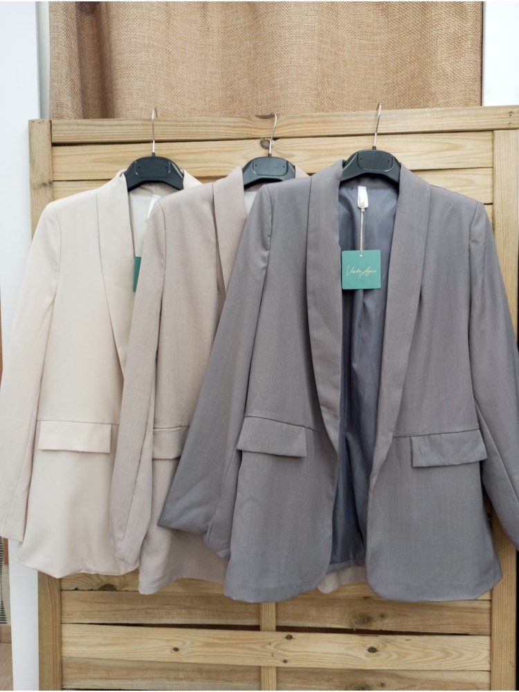 Blazer de traje lisa